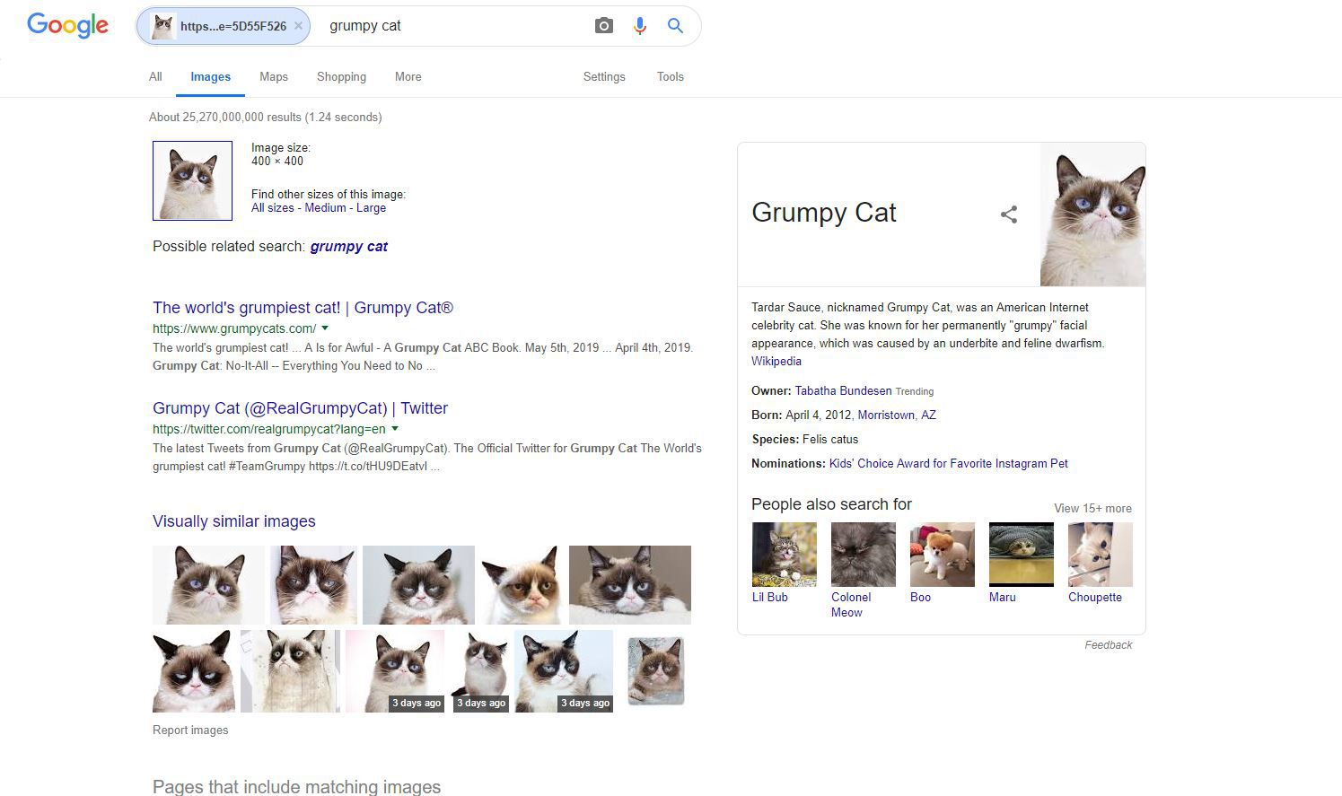 Captura de tela dos resultados de imagens reversas do Google
