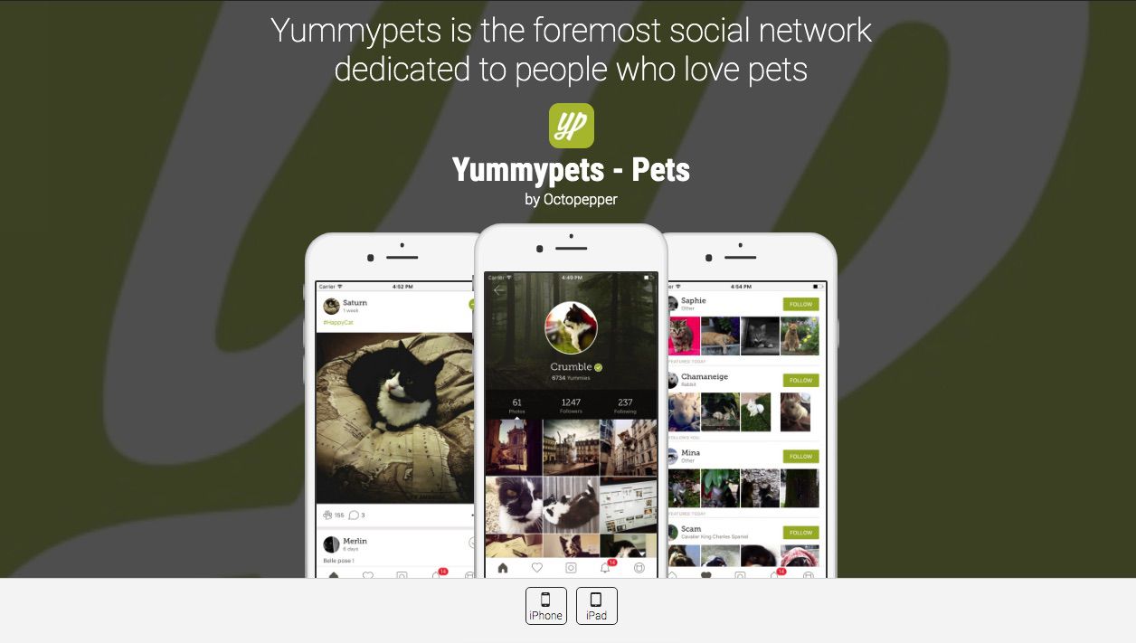 Captura de tela do aplicativo da comunidade de animais de estimação Yummypets