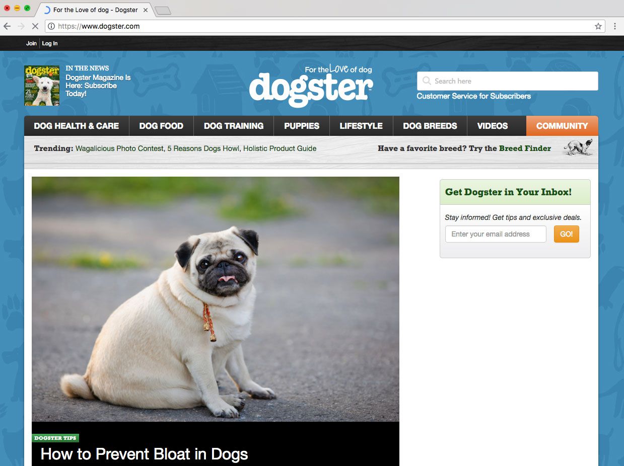 Captura de tela do Dogster