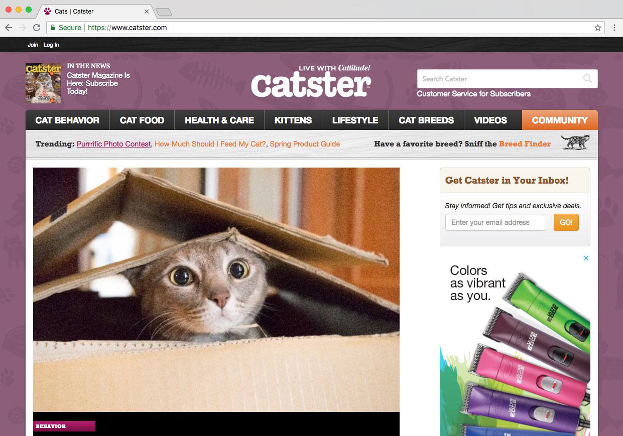 Redes sociais de animais de estimação - Catster