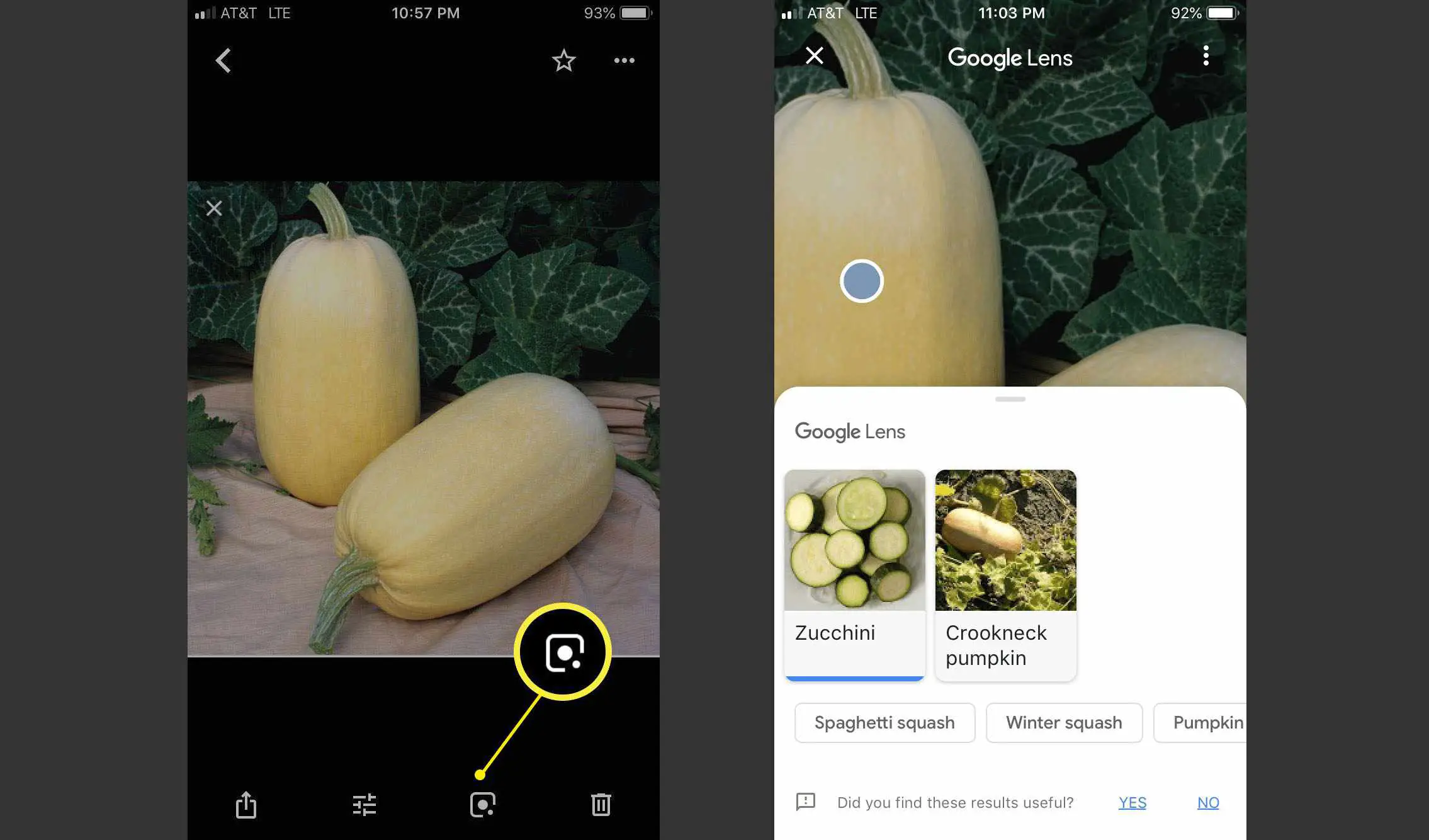 Captura de tela mostrando mais detalhes do Google Lens na foto de abóbora espaguete