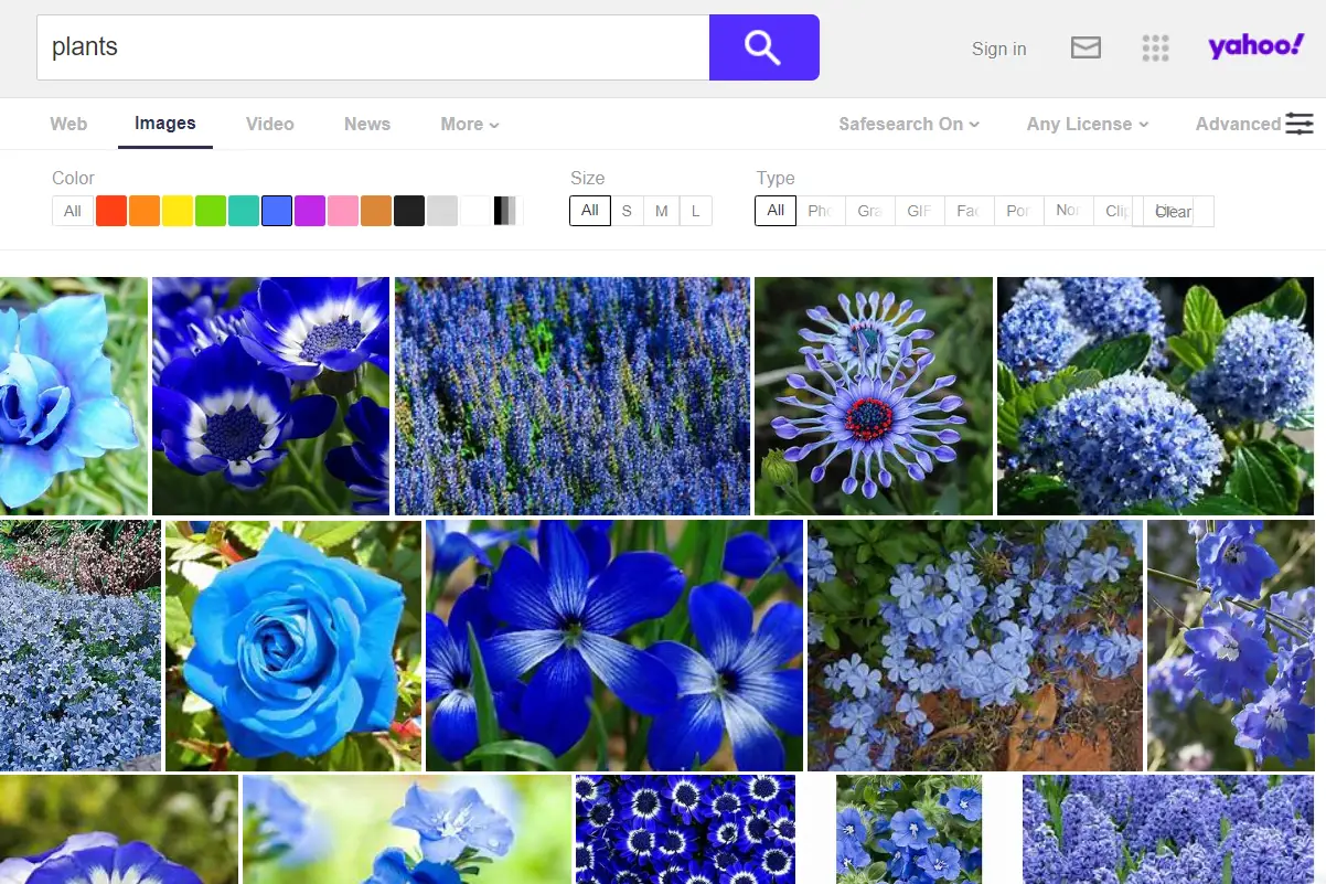 Opções de pesquisa avançada do Yahoo para imagens