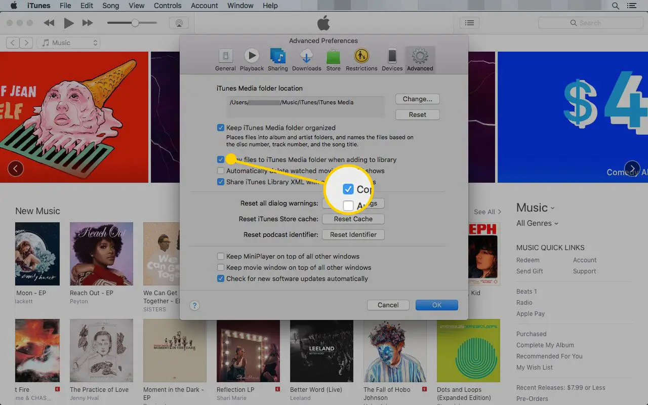 Preferências avançadas do iTunes com a caixa "Copiar arquivos para a pasta do iTunes" destacada