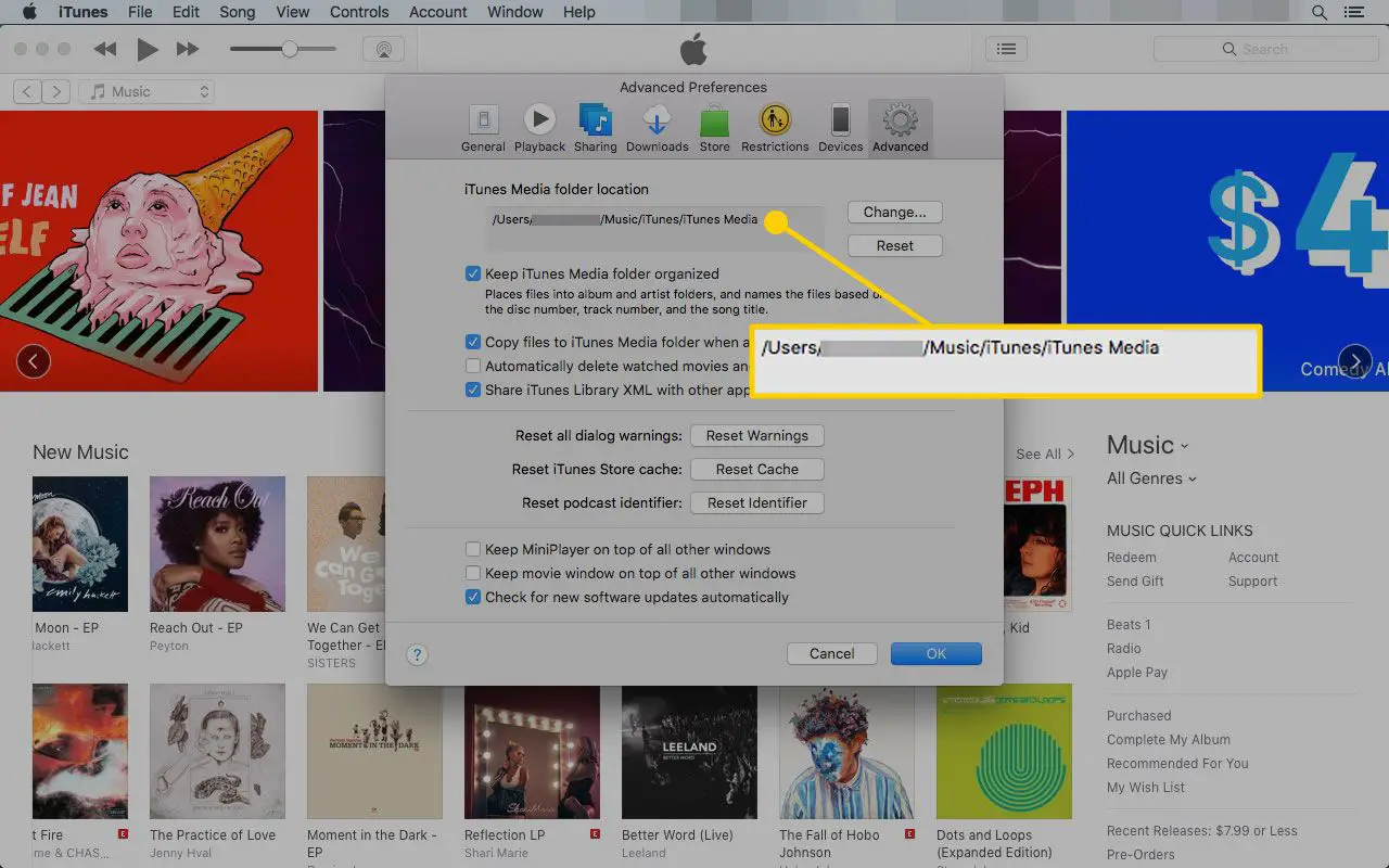 Preferências do iTunes Advanced com a localização da pasta de mídia destacada