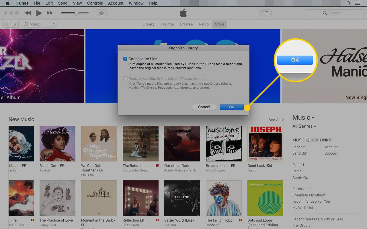 Organizar a janela Biblioteca no iTunes com o botão OK destacado