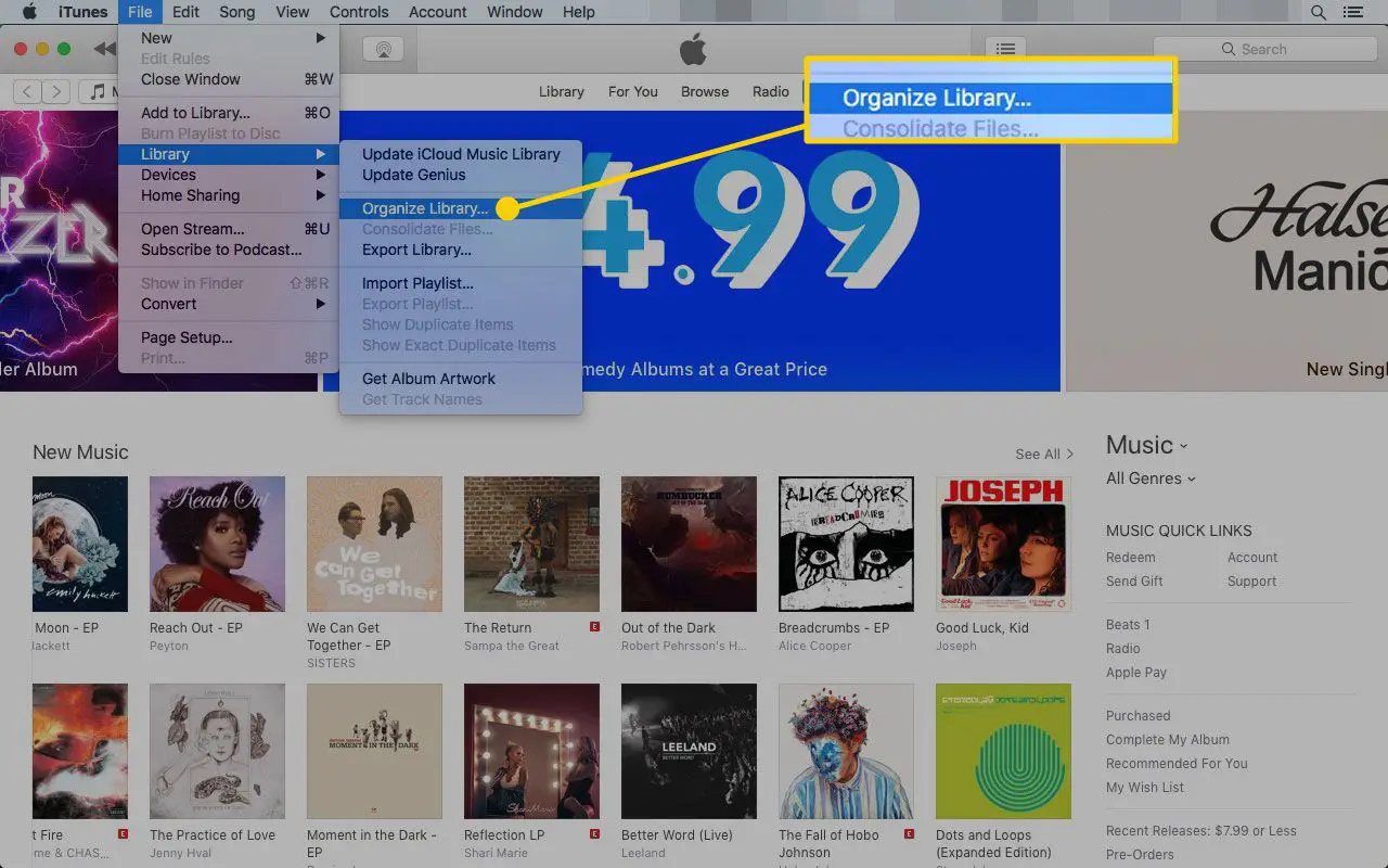 iTunes em um Mac com a opção Organizar Biblioteca destacada