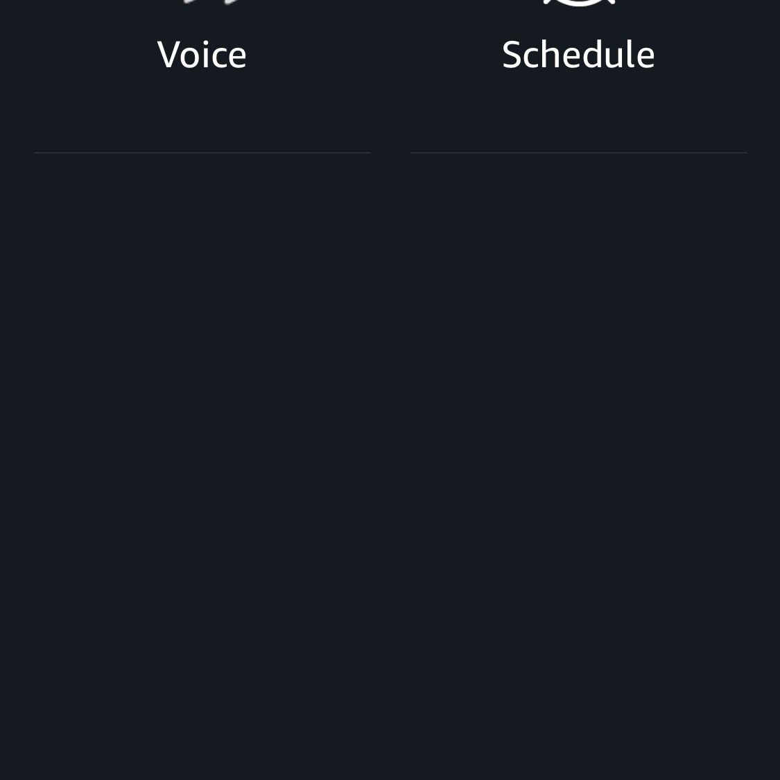 Uma captura de tela no aplicativo Alexa com voz como opção.