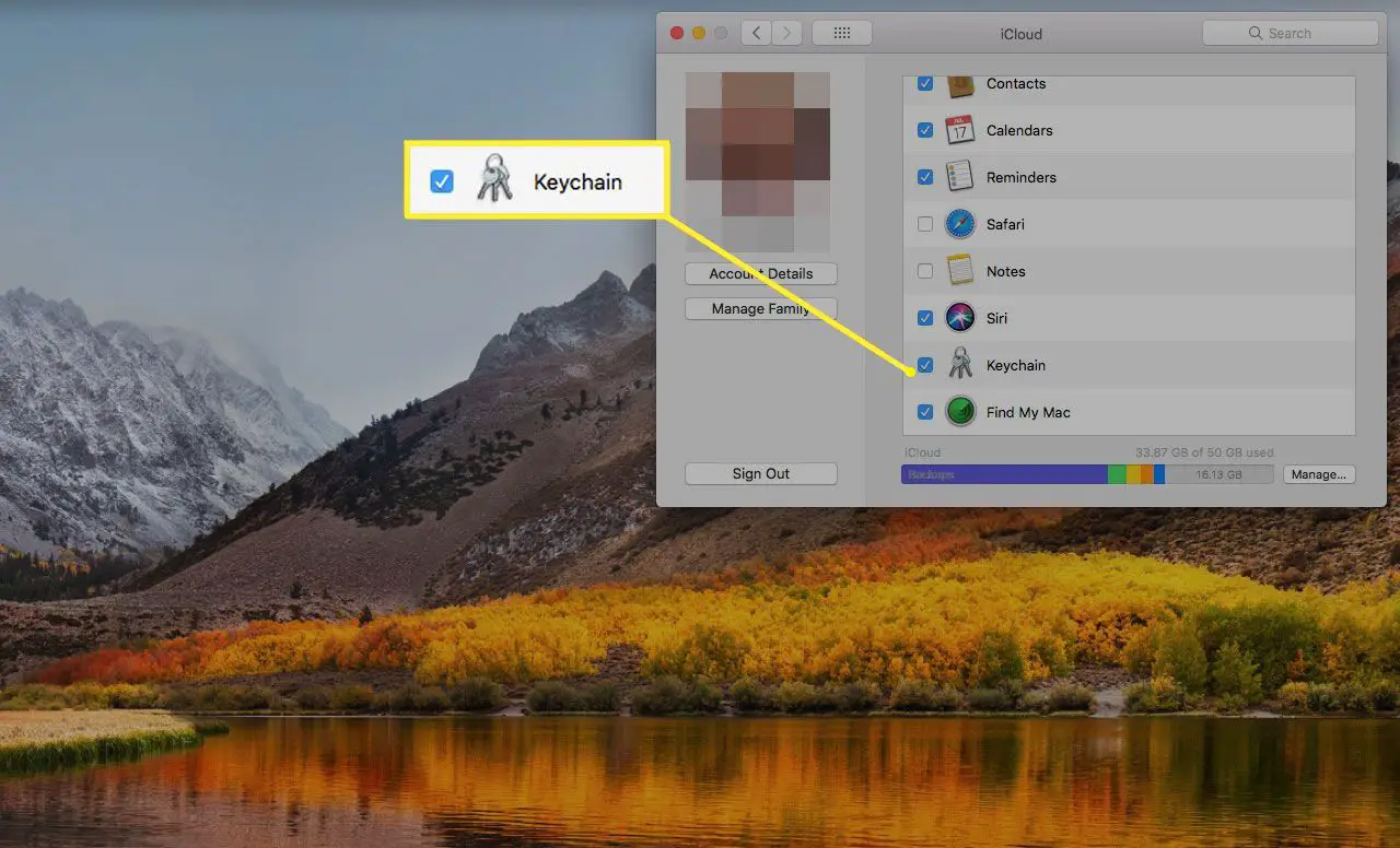 Preferências do iCloud em um Mac com o item Keychain destacado