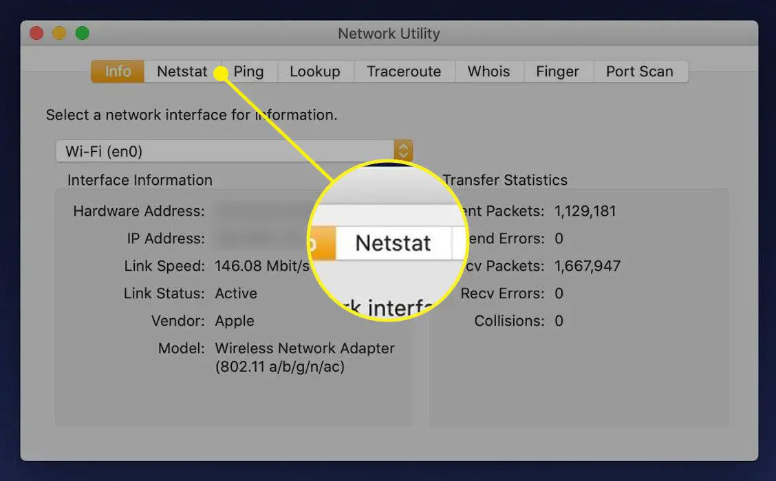 A guia Netstat no Network Utility