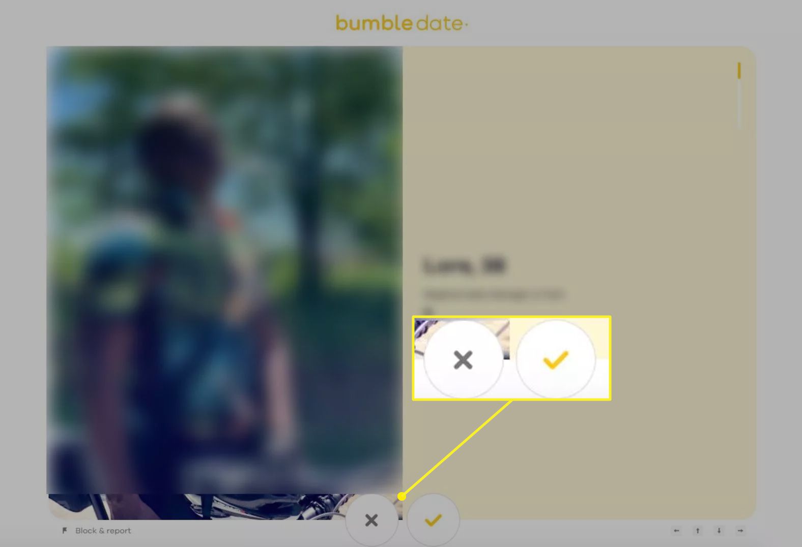 Bumble.com mostrando os botões para passar ou curtir uma partida