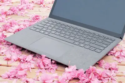 Surface Laptop 4 em uma cama de pétalas de flores