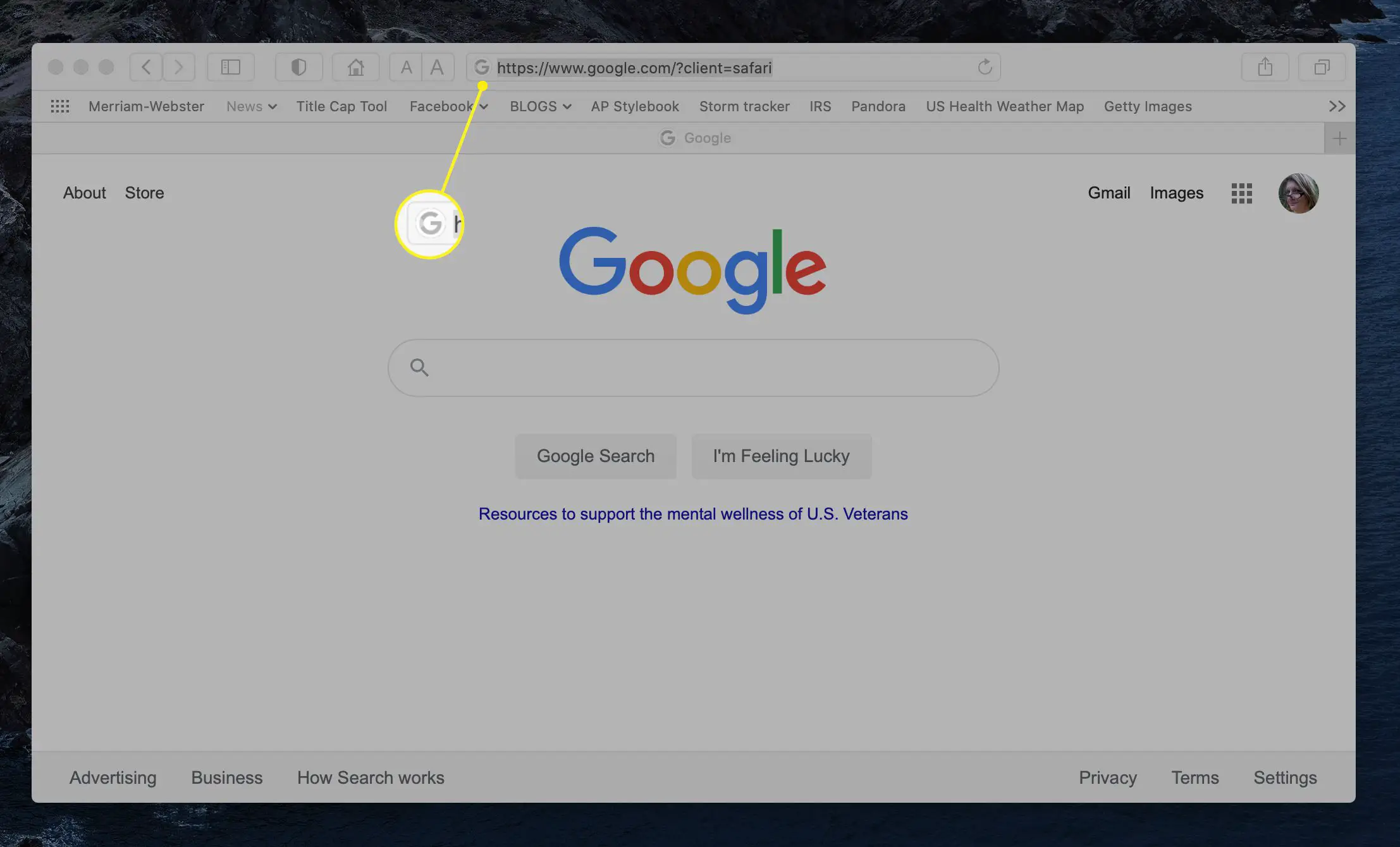 Um navegador mostrando o ícone ao lado do URL