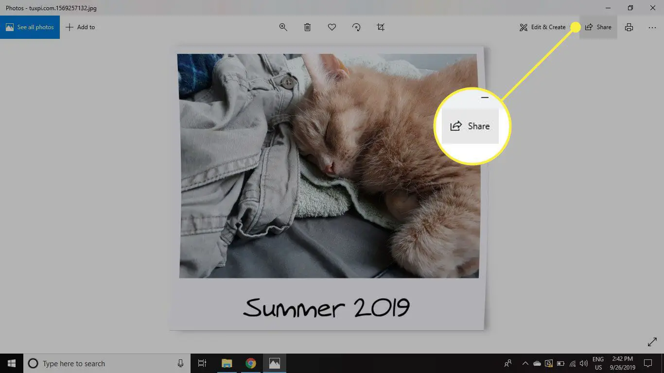 O botão Compartilhar no Fotos para Windows 10