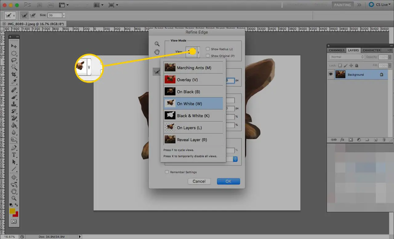 A janela Refine Edge no Photoshop com o botão View destacado
