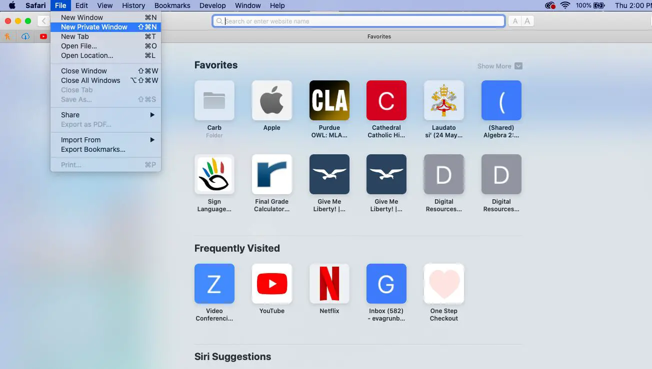 Entre no modo de navegação privada no Safari em um Mac