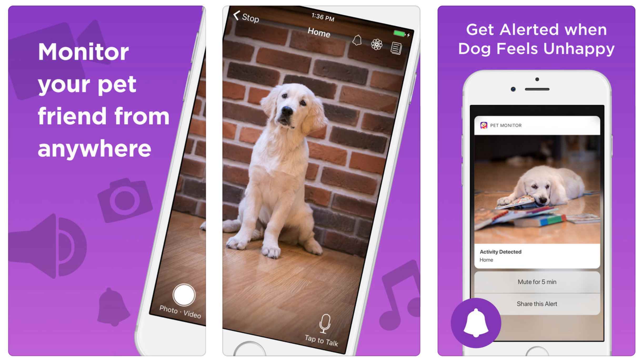 Três telas promocionais do aplicativo Pet Monitor VIGI para iOS
