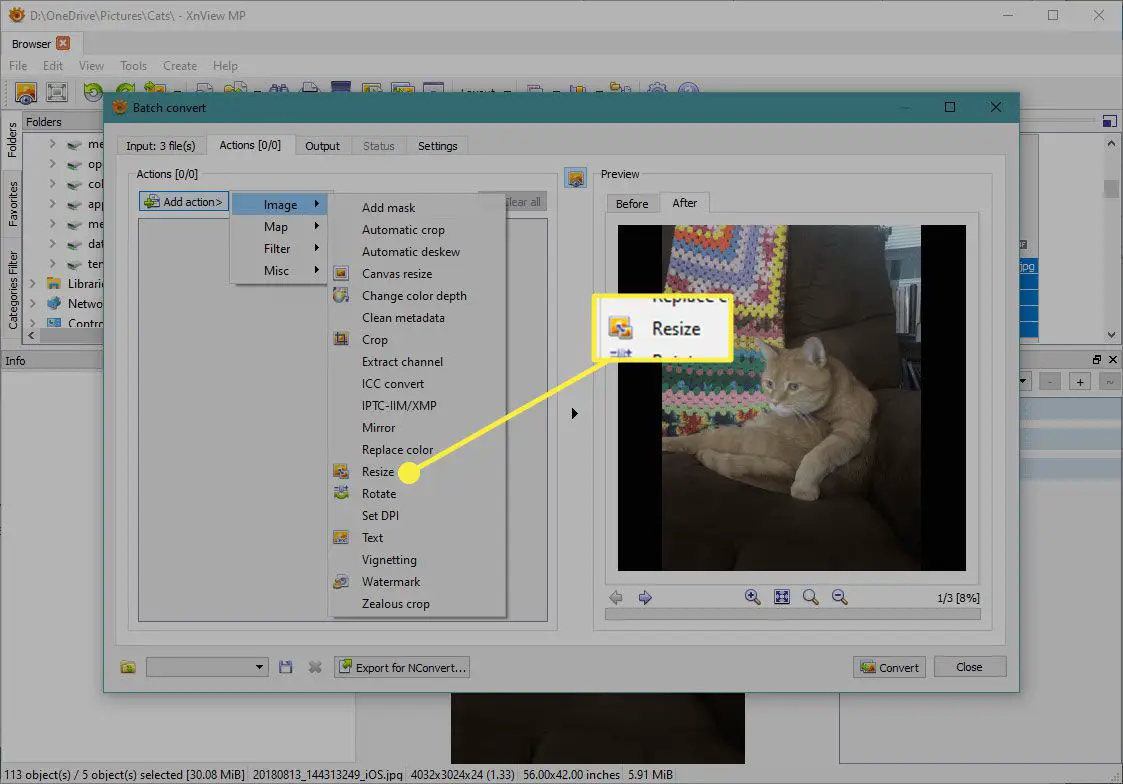 Uma captura de tela da tela de conversão em lote do XnView com o comando Redimensionar destacado