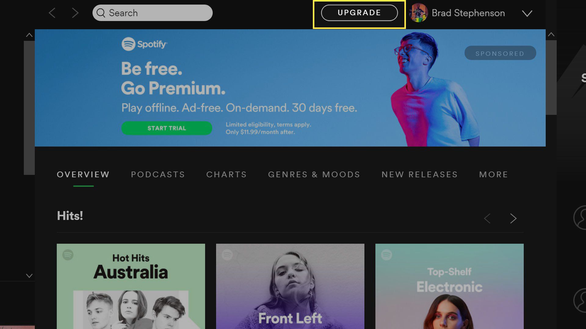 Botão de atualização do Spotify Premium no aplicativo Spotify do Windows 10