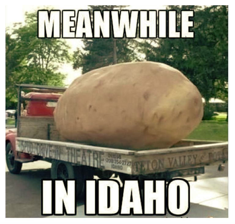 Enquanto isso, em Idaho meme