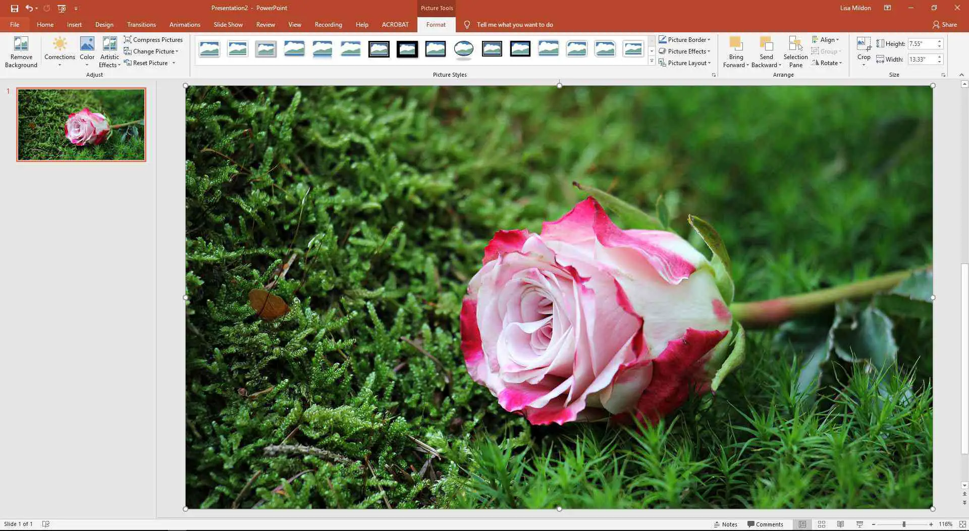 PowerPoint exibindo as opções de ferramentas de formato de imagem.