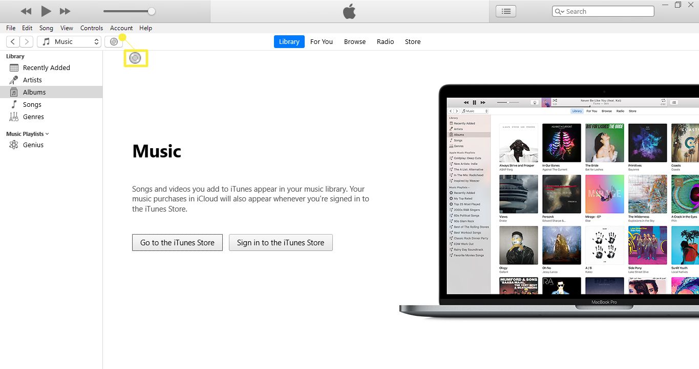 Vá para a biblioteca do iTunes e selecione o ícone do CD na parte superior da tela.