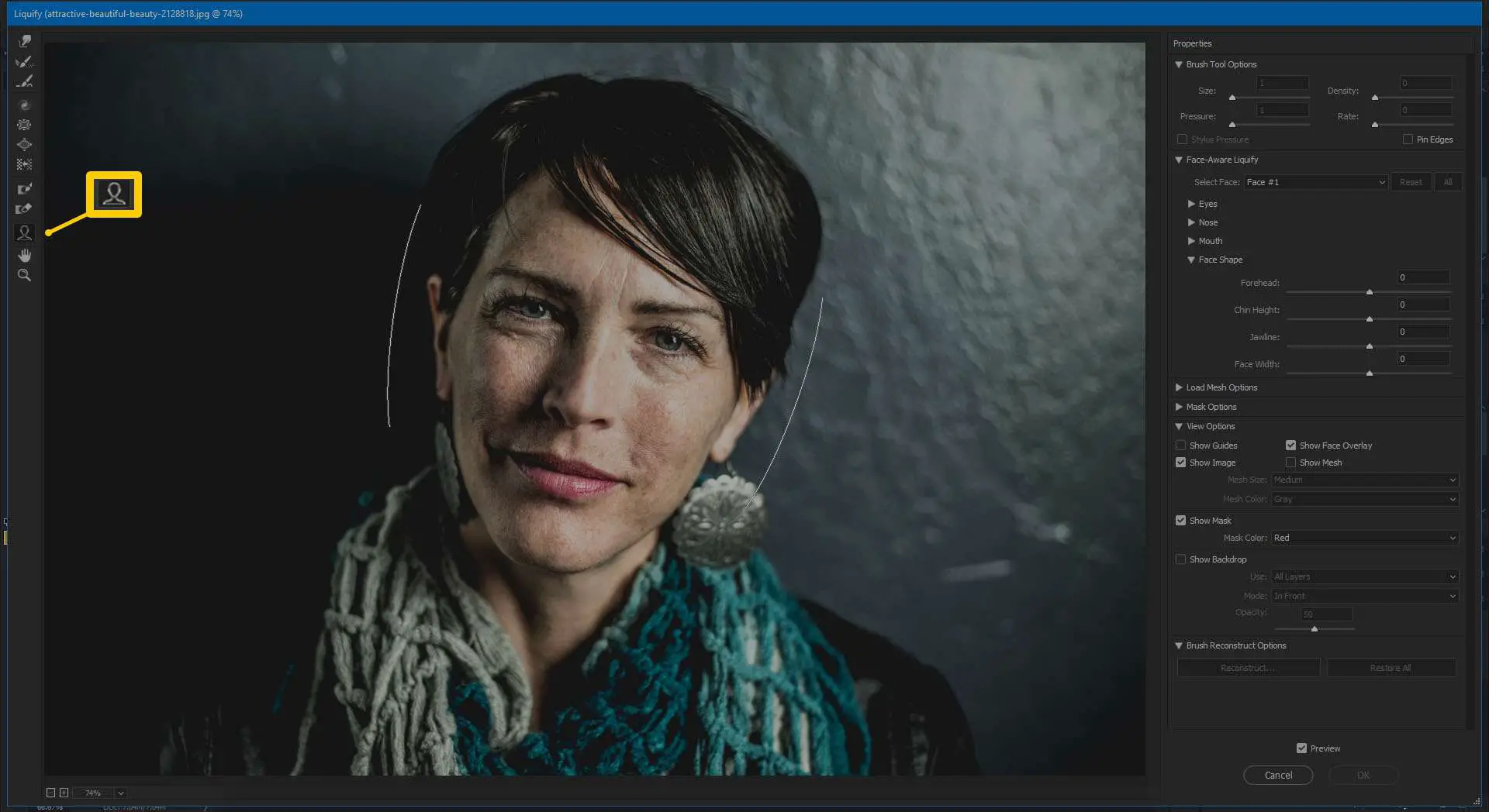 Captura de tela da ferramenta Face no Photoshop CC 2019.