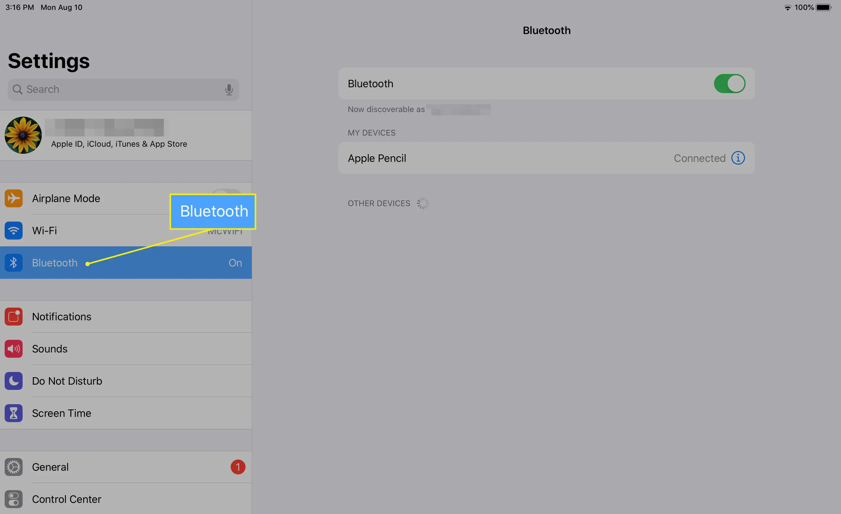 Configurações do iPad com Bluetooth selecionado