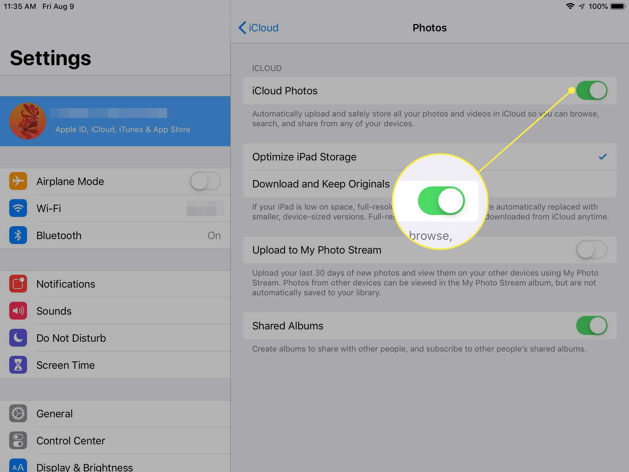 Uma captura de tela das configurações de sincronização de fotos do iPad com o botão Fotos do iCloud destacado