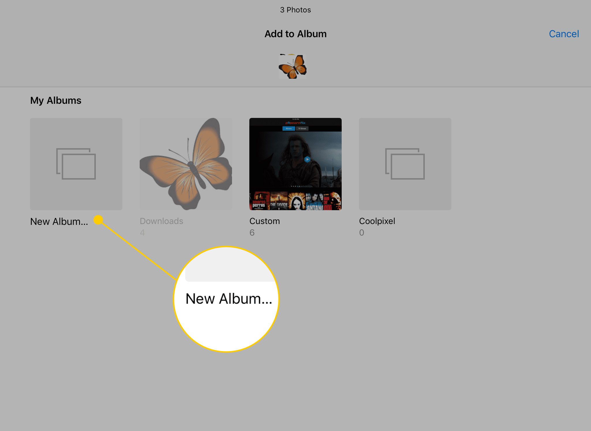 Adicionar à tela do Álbum em Fotos em um iPad com o botão Novo Álbum destacado