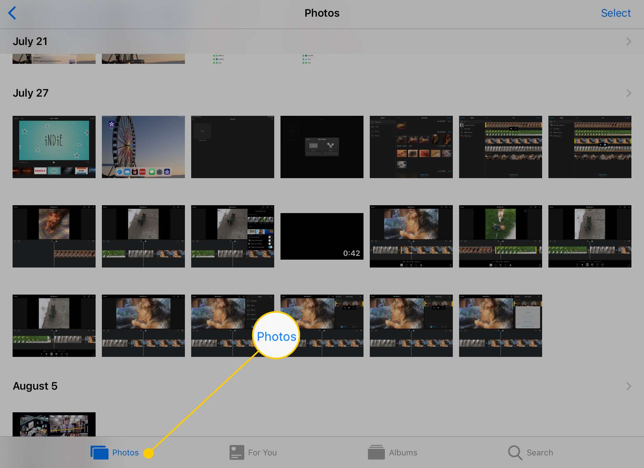 Guia Fotos no aplicativo Fotos em um iPad