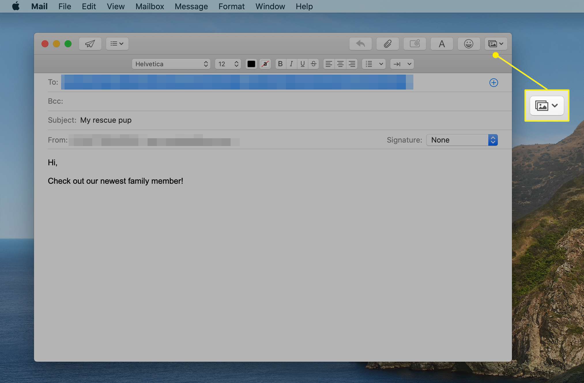 Uma nova janela de mensagem do Mail mostrando o ícone do navegador de fotos
