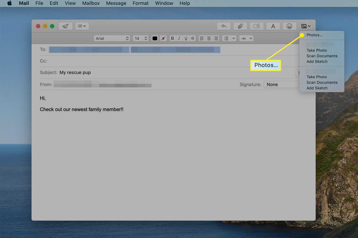 Uma nova janela de mensagem de e-mail mostrando o menu do navegador de fotos