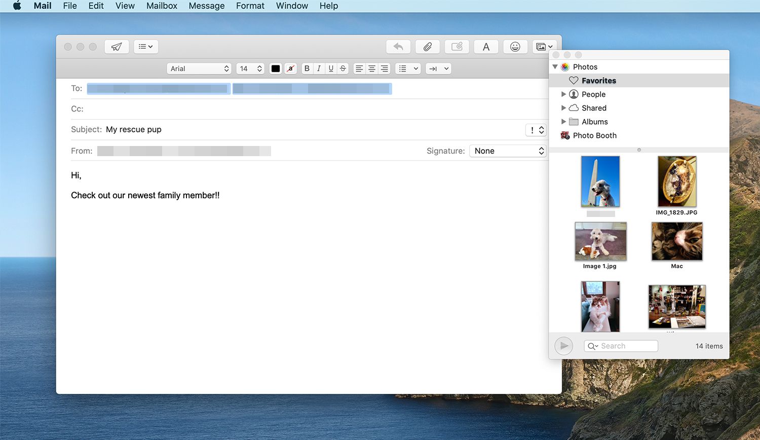Visualização de imagens em miniatura do navegador de fotos no Mac Mail