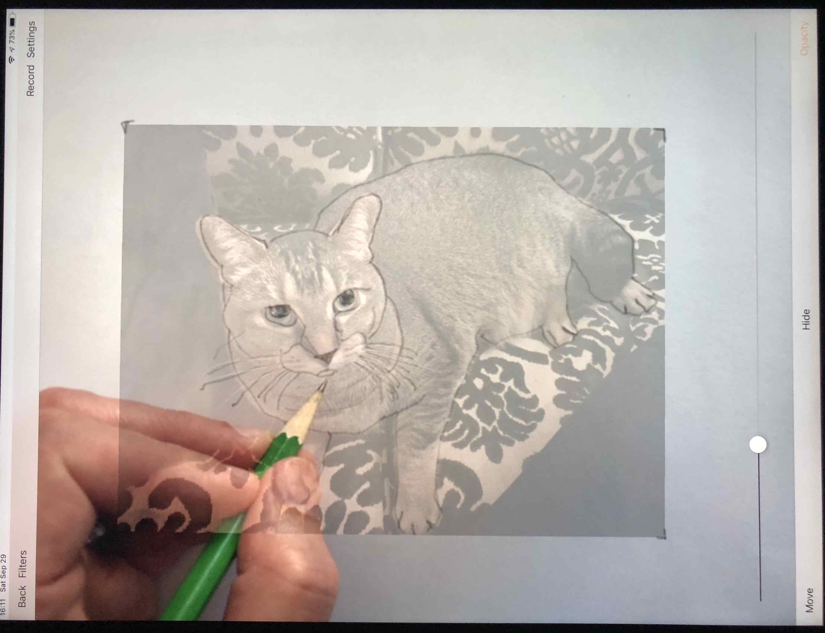 Foto do aplicativo Da Vinci, mostrando a foto de um gato na tela do iPad, com papel e mão com lápis abaixo, desenhando o gato