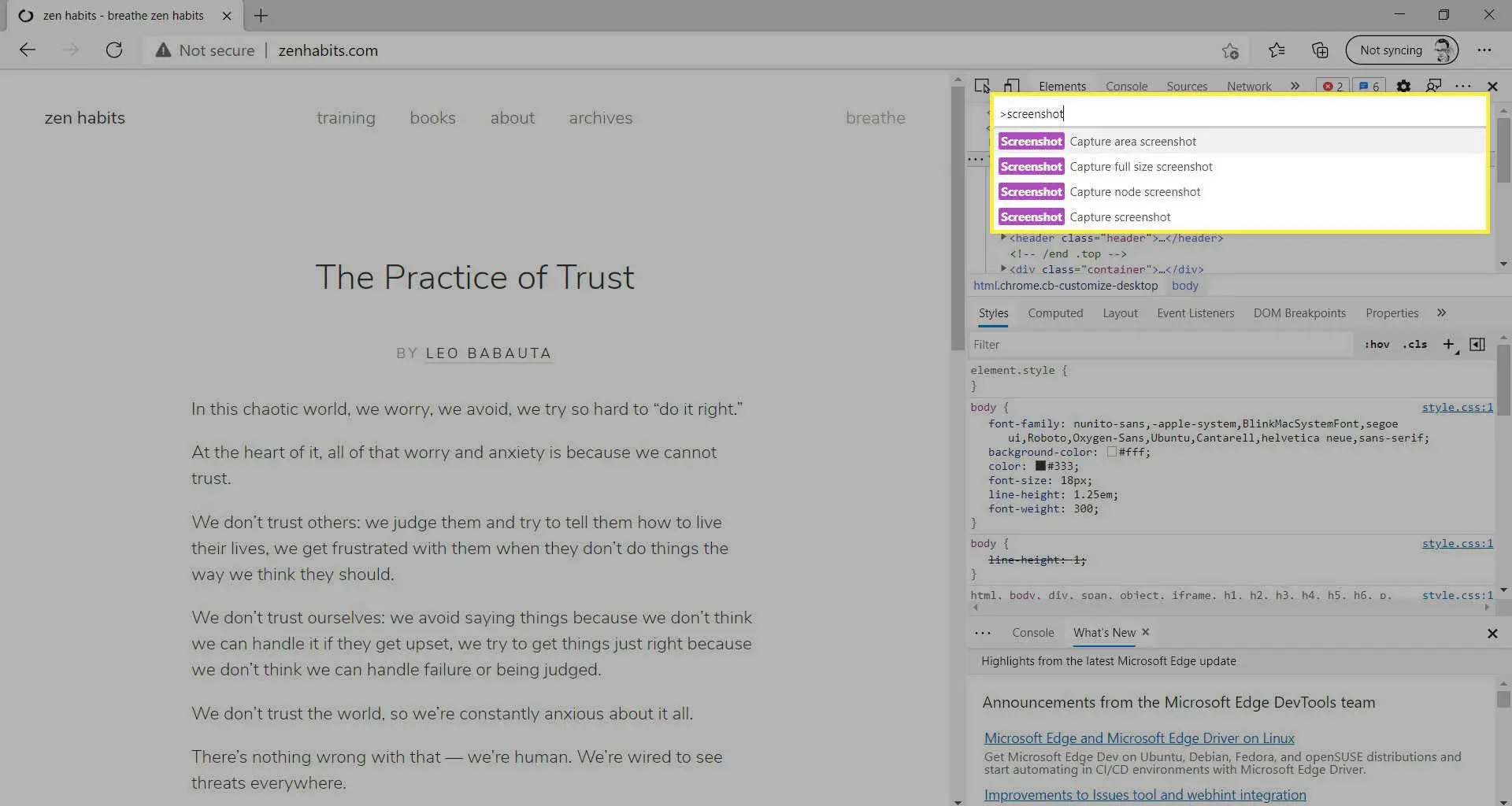 As opções de captura de tela na seção de ferramentas do desenvolvedor do Microsoft Edge.
