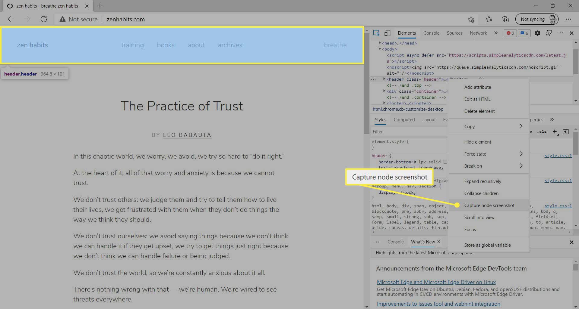 Item de menu da captura de tela do nó de captura destacado no Microsoft Edge.
