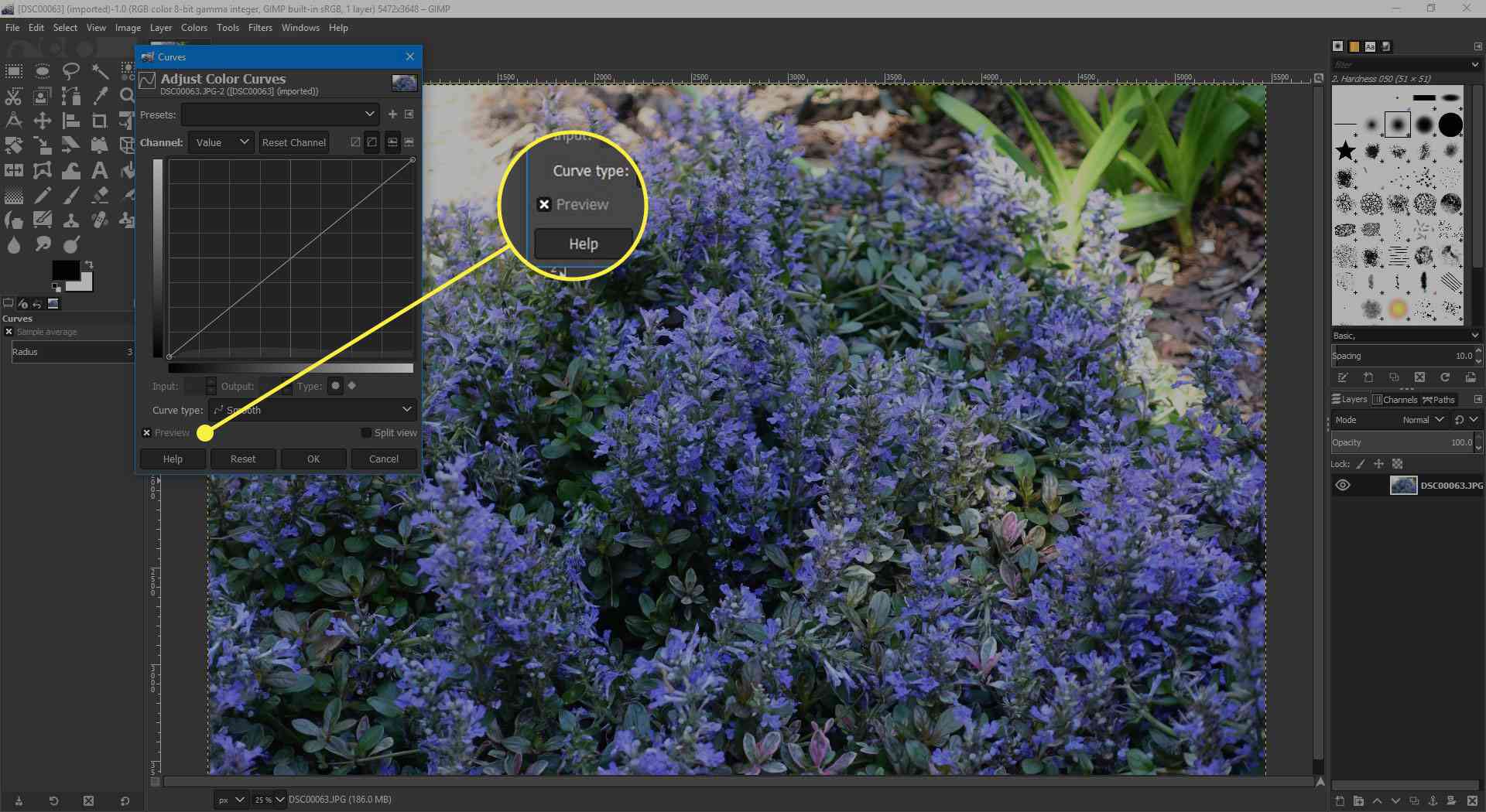 Uma captura de tela da janela Curve do GIMP com o botão Preview destacado