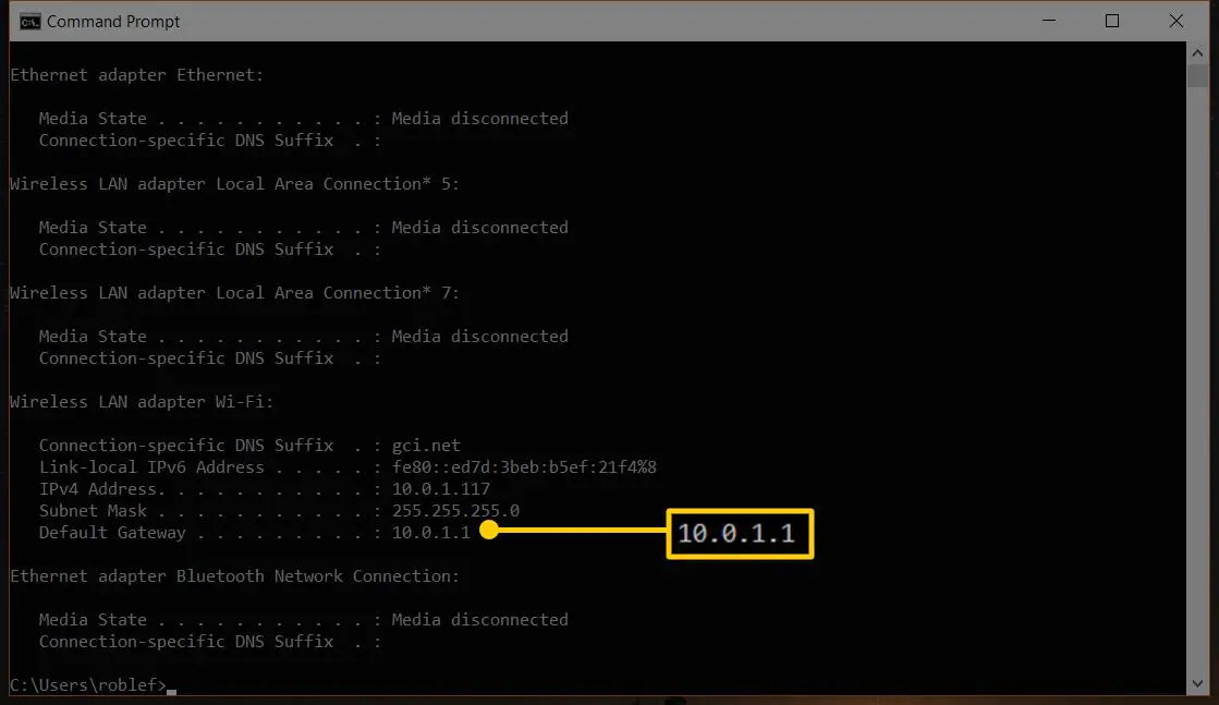 Captura de tela do aplicativo de prompt de comando do Windows mostrando o gateway padrão de 10.0.1.1