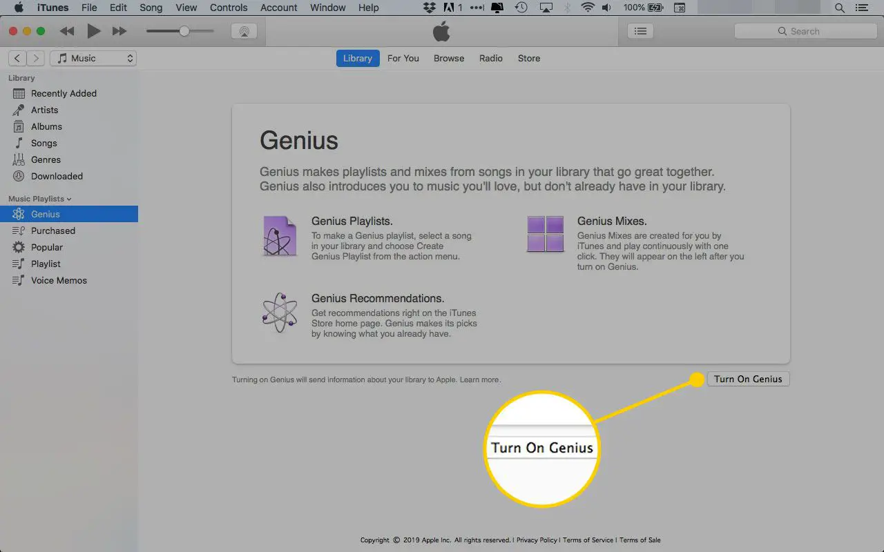 Tela de configuração Genius no iTunes