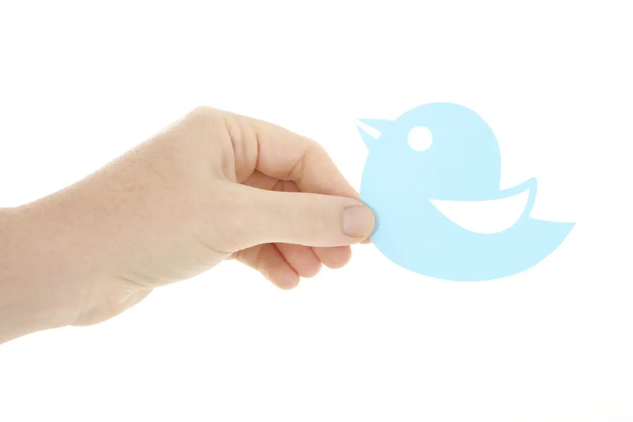 Mão segurando o logotipo que se parece com o pássaro azul do Twitter.