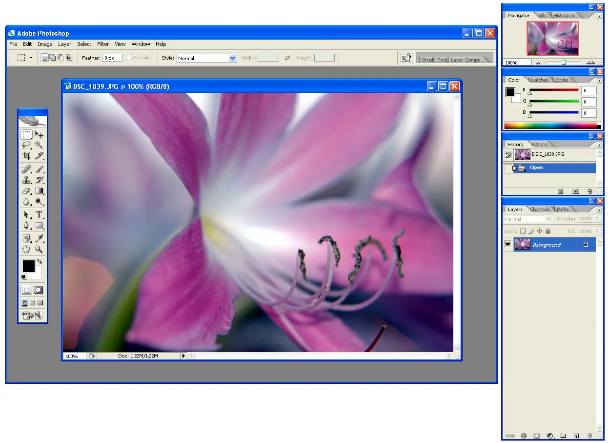 Adobe Photoshop CS2 no Windows XP