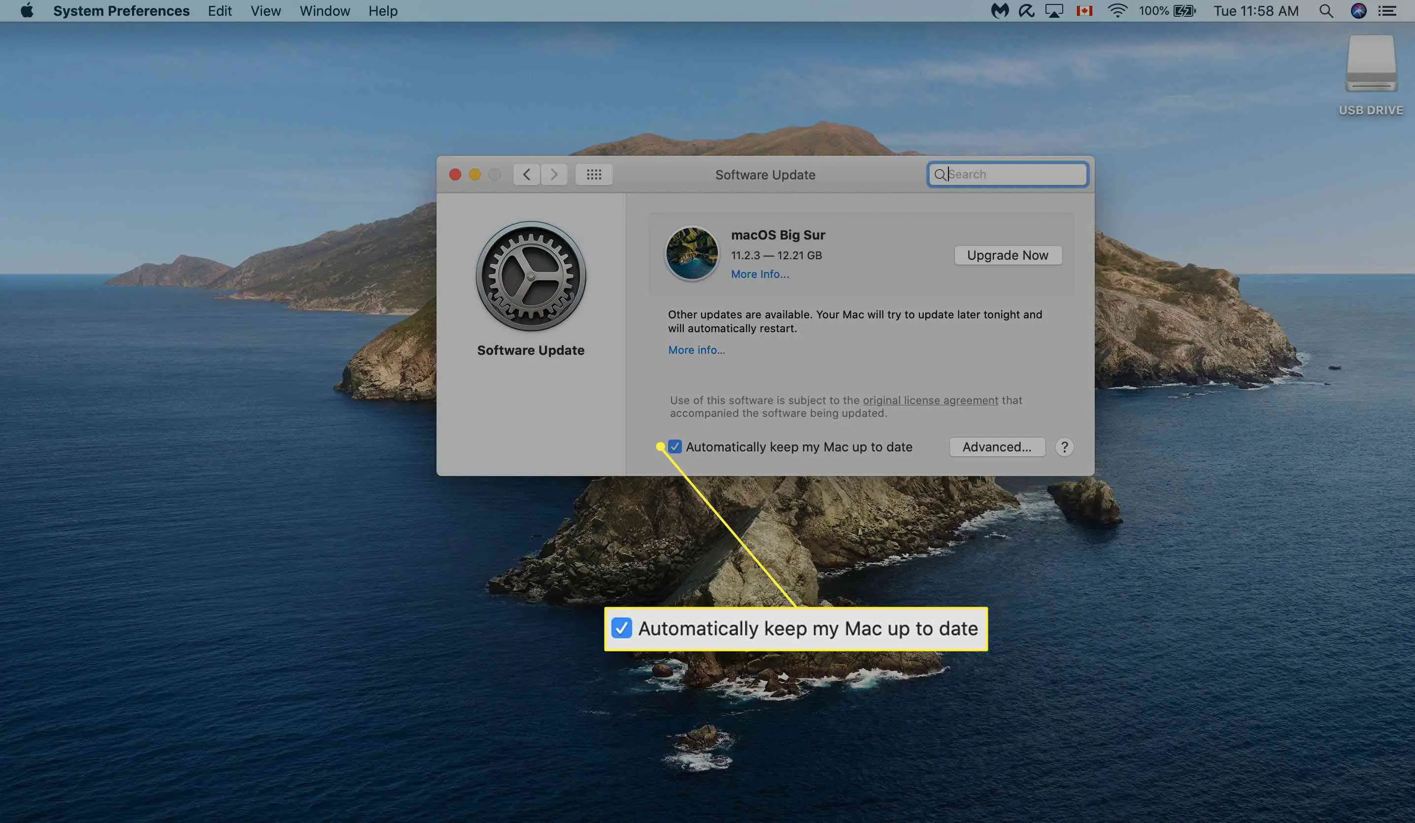 Marcando as atualizações automáticas em Mac Software Update.