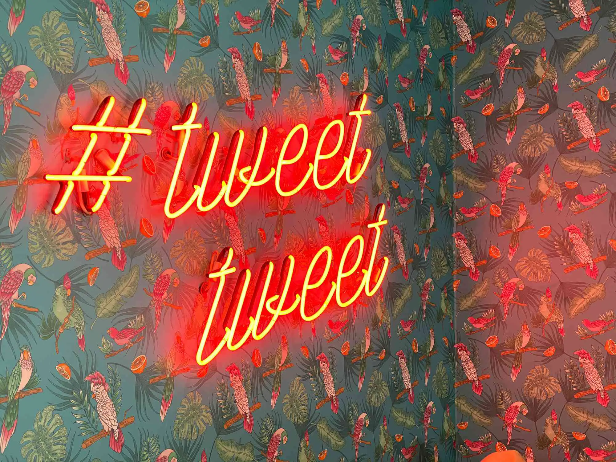 Uma placa de neon que diz #tweettweet contra uma parede coberta de papel de parede com tema de papagaio e selva.