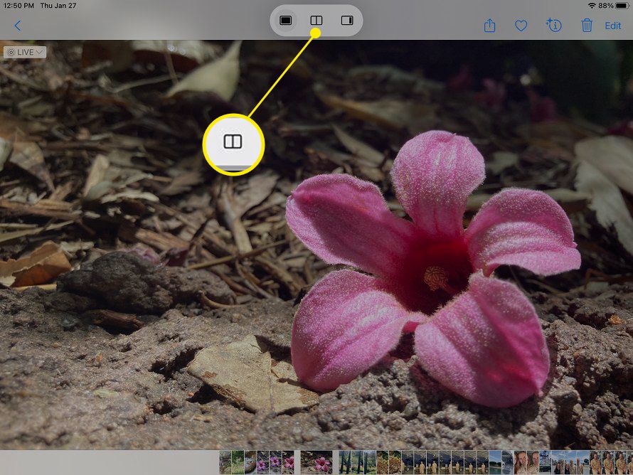 Aplicativo Notas do iPad com Split View destacado no menu Multitarefa