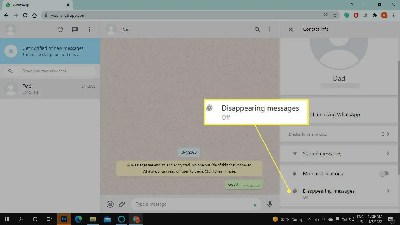 Mensagens desaparecendo no WhatsApp na web
