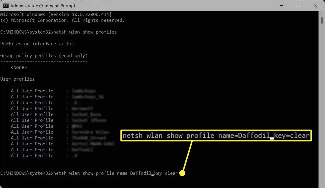 netsh wlan show profile name=Daffodil key=clear no prompt de comando do Windows